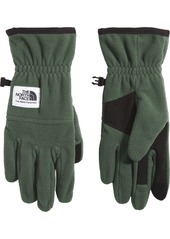 The North Face Etip™ Heavyweight Fleece Glove, Men's, Small, Black