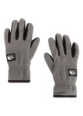 The North Face Etip Heavyweight Fleece Gloves