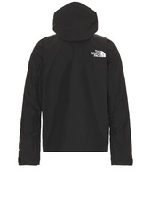 The North Face Gtx Mountain Jacket