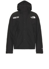 The North Face Gtx Mountain Jacket