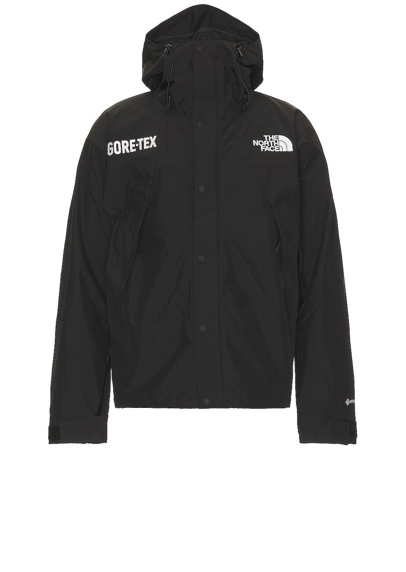 The North Face Gtx Mountain Jacket