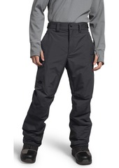 The North Face Men's Freedom Insulated Pants, Small, Gray