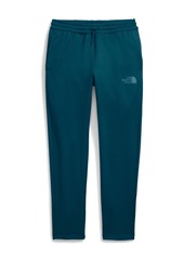 The North Face Men's Horizon Fleece Pant - Smoked Pearl