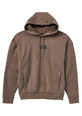 The North Face Men's Horizon Pull Over Hoodie, Small, Gray