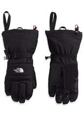 The North Face Men's Montana Ski Glove, Large, Brown