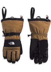 The North Face Men's Montana Ski Glove, Large, Brown