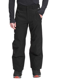 The North Face Men's Seymore Ski Pants, Small, Black