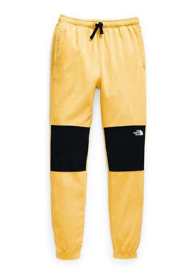 the north face glacier pant