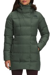 The North Face New Dealio Water Repellent 550 Fill Power Down Parka