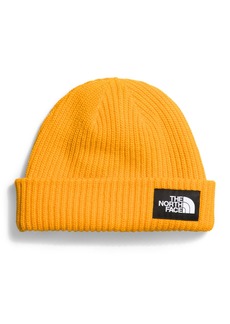 THE NORTH FACE Salty Dog Lined Beanie - Short