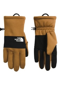 The North Face Sierra E-Tip Gloves