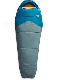 The North Face Wasatch Pro 20 Sleeping Bag, Men's, Regular, Blue
