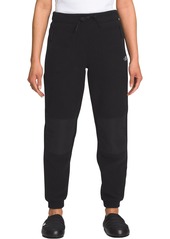 The North Face Women's Alpine 200 Pants, Large, Black