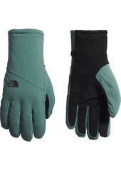 The North Face Women's Shelbe Raschel Etip Gloves, Small, Black