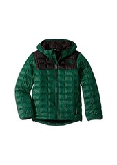 The North Face ThermoBall™ Eco Hoodie (Little Kids/Big Kids)