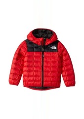 The North Face ThermoBall™ Eco Hoodie (Toddler)