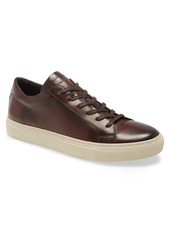 To Boot New York Castle Sneaker in Brown at Nordstrom