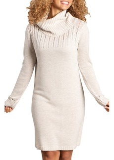 Toad & Co Chelsea II Long Sleeve Turtleneck Sweater Dress in Oatmeal at Nordstrom