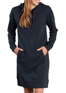 Toad & Co Follow Through Long Sleeve Organic Cotton Hoodie Dress in Big Sky at Nordstrom