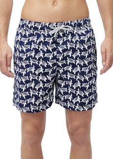 Tom & Teddy Turtle Print Swim Trunks in Deep Blue And White at Nordstrom