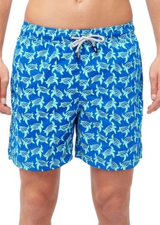 Tom & Teddy Turtle Print Swim Trunks in Blue And Ice Green at Nordstrom