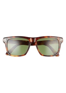 TOM FORD Buckley-02 56mm Square Sunglasses