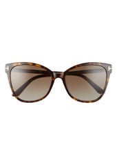 Tom Ford Ani 58mm Gradient Polarized Cat Eye Sunglasses in Dark Havana/Polarized Brown at Nordstrom