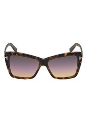 Tom Ford Leah 64mm Gradient Polarized Oversize Butterfly Sunglasses in Colored Havana/Gradient Smoke at Nordstrom