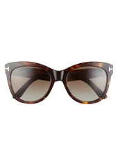 TOM FORD Wallace 54mm Gradient Cat Eye Sunglasses in Shiny Dark Havana /Brown at Nordstrom