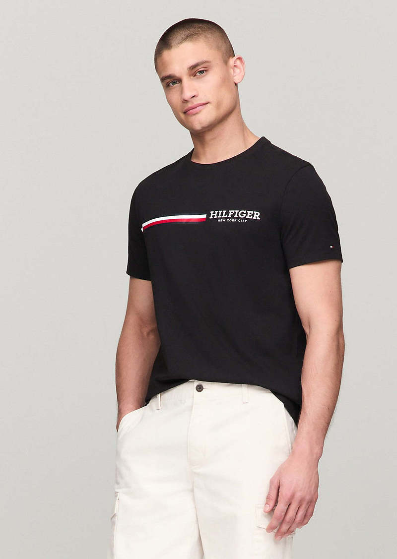 Tommy Hilfiger Men's Signature Hilfiger Stripe Graphic T-Shirt