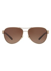 Tory Burch 60mm Polarized Aviator Sunglasses in Light Gold/Olive Horn/Brown at Nordstrom