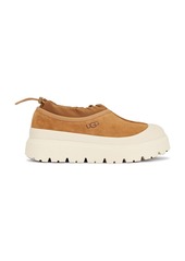 UGG M Tasman Weather Hybrid