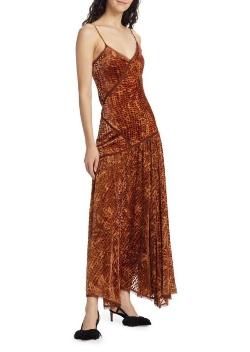 Ulla Johnson Elodie Print Velvet Maxi Dress