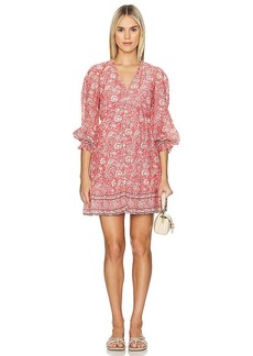 Velvet by Graham & Spencer Mary Mini Dress