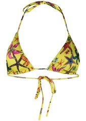 Versace Trésor de la Mer-print bikini top