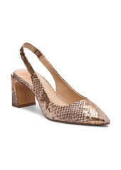 Vince Camuto Hamden Slingback Pointed Toe Pump in Gold Soft Snake Leather at Nordstrom