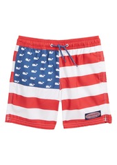 usa flag swim trunks