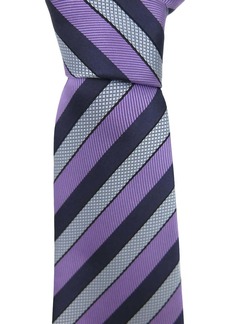 Zegna Men's Striped Silk Neck Tie In Purple