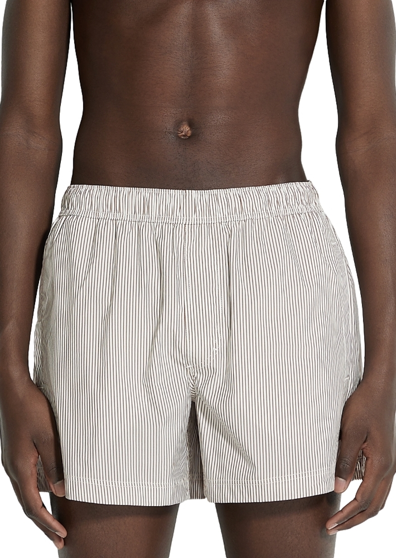 Zegna Stripe Regular Fit Swim Trunks