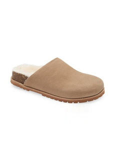 Madewell Layne Shearling Clog Mule in Walnut Shell at Nordstrom
