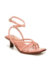 Sam Edelman Dia Strappy Sandal in Canyon Clay at Nordstrom