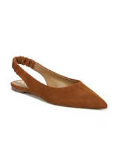 Sam Edelman Whitney Pointed Toe Flat in Macadamia at Nordstrom